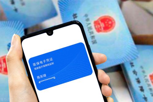 圣康24小时医保套取实操指南：老司机分享高效安全操作流程